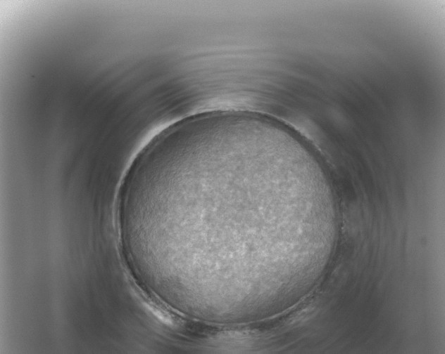 X0000067471078200604142344