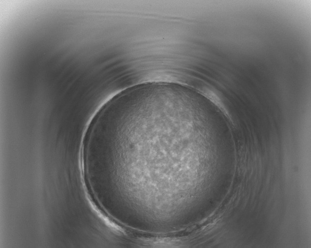 X0000067471084200604142344