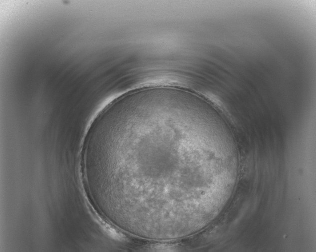 X0000067471086200604142344