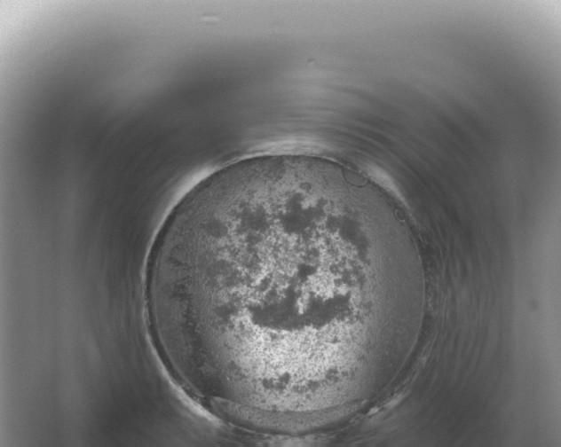 X0000067471087200604142344