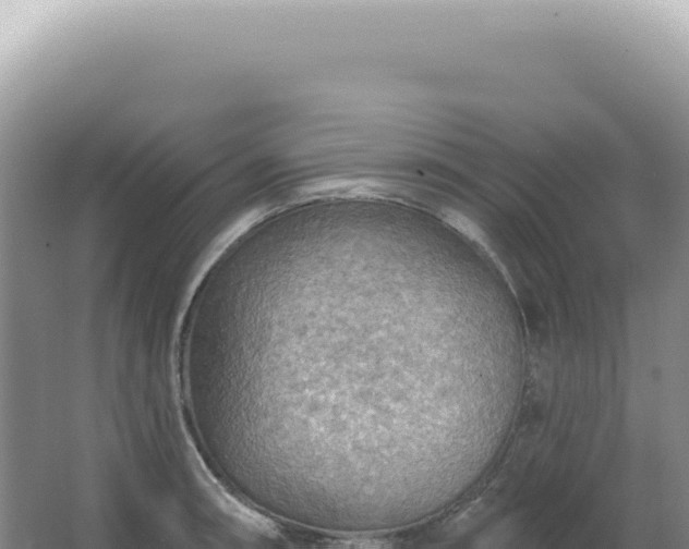 X0000067471090200604142344