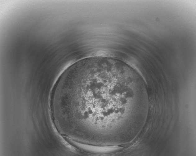 X0000067471091200604142344