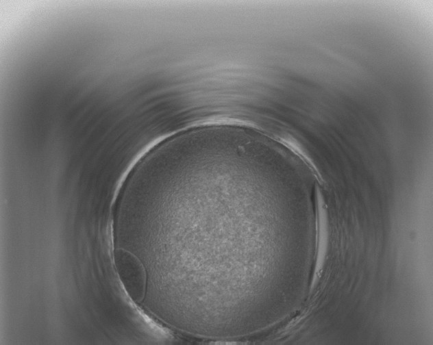 X0000067471092200604142344