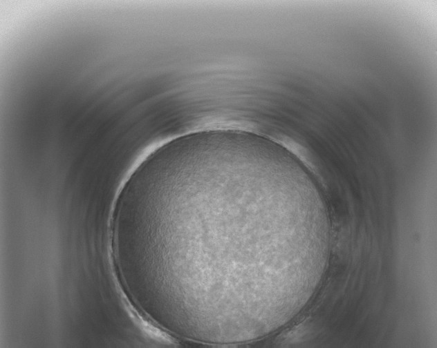 X0000067471094200604142344