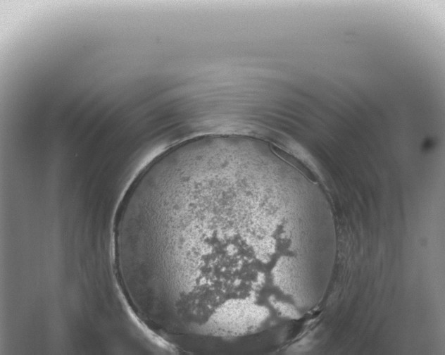 X0000067471095200604142344