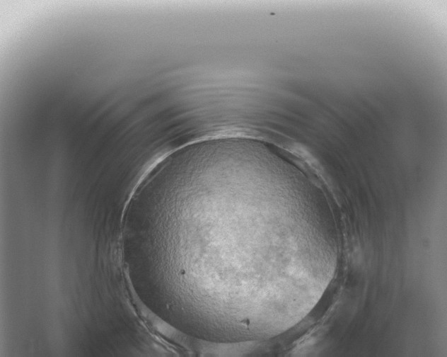 X0000067471097200604142344