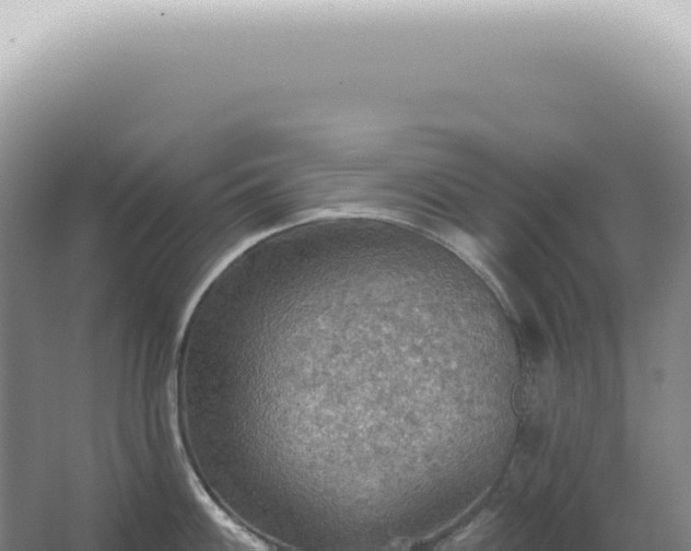 X0000067471100200604142344