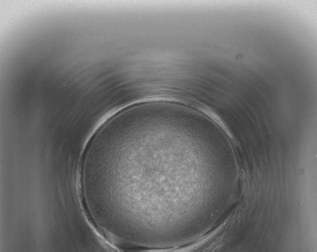 X0000067471101200604142344