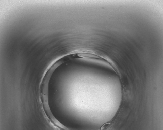 X0000067471102200604142344