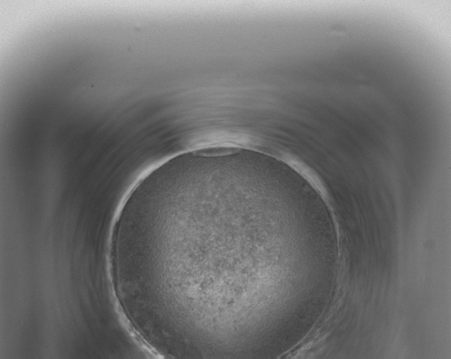 X0000067471104200604142344