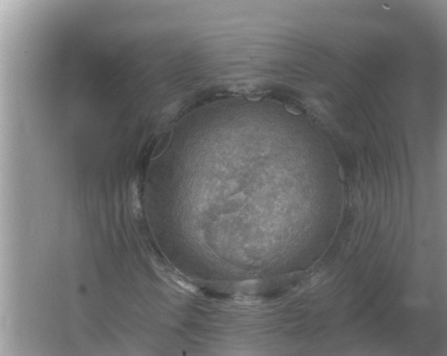 X0000067471106200604142343