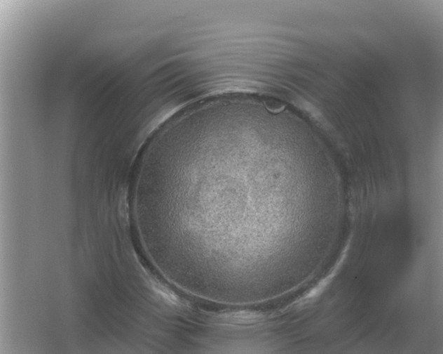 X0000067471113200604142343