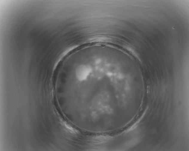 X0000067471117200604142343