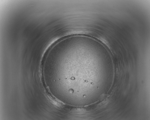 X0000067471119200604142343