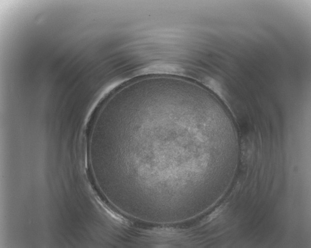 X0000067471123200604142343