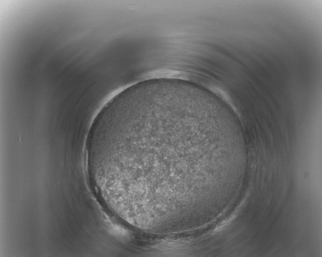 X0000067471125200604142343