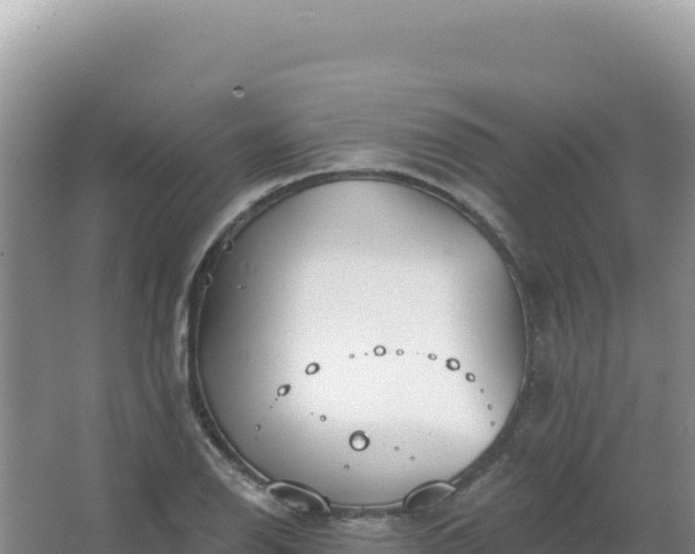 X0000067471126200604142343