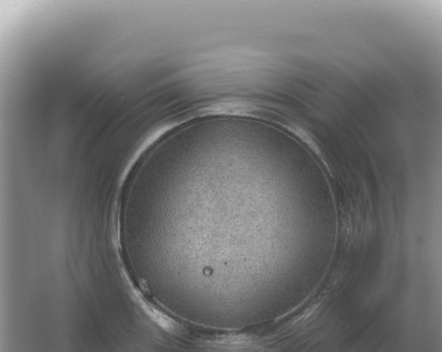 X0000067471131200604142343