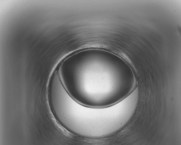 X0000067471132200604142343