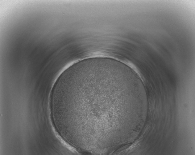 X0000067471142200604142344