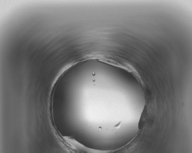 X0000067471146200604142344