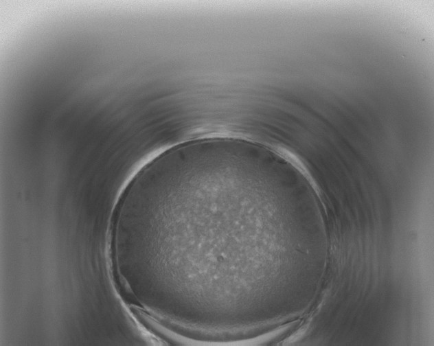 X0000067471149200604142344