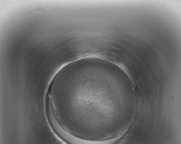 X0000067471151200604142344