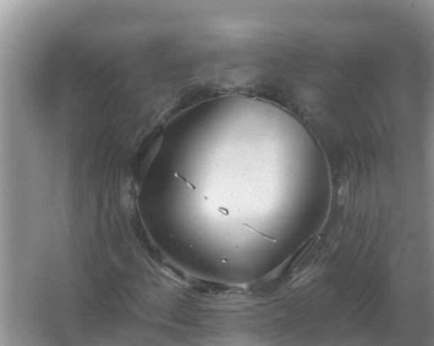 X0000067471156200604142343