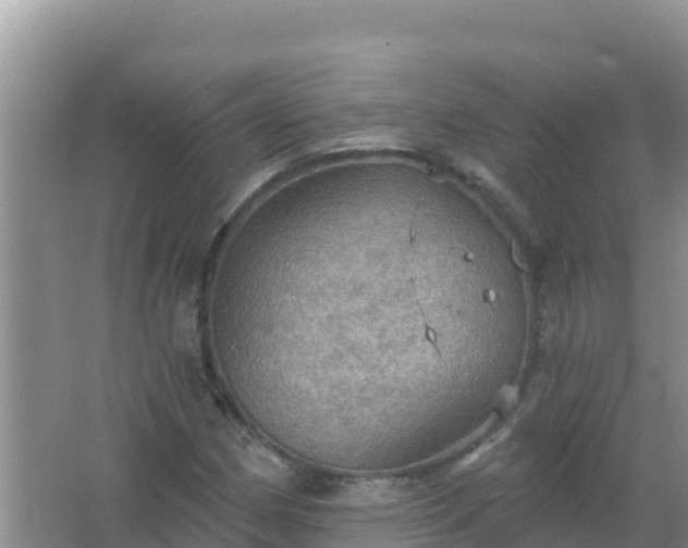 X0000067471162200604142343