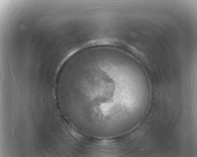 X0000067471166200604142343