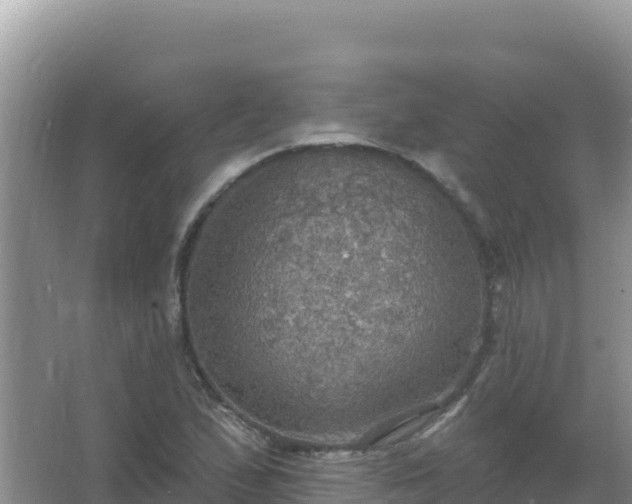 X0000067471167200604142343