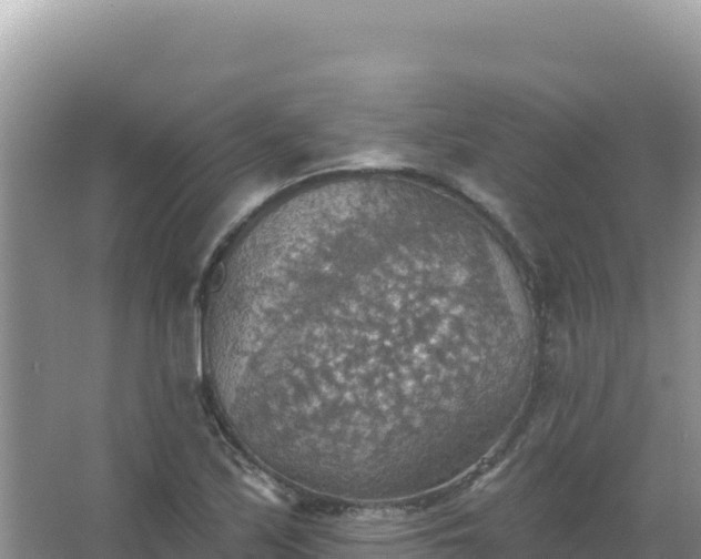 X0000067471171200604142343