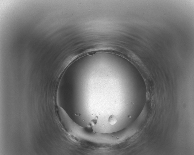 X0000067471177200604142342