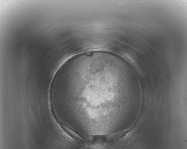 X0000067471182200604142342