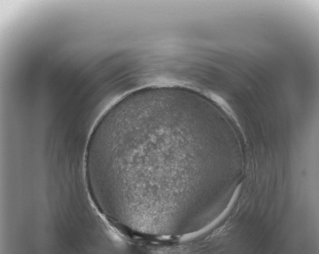 X0000067471183200604142342