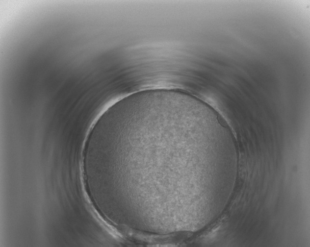 X0000067471187200604142342