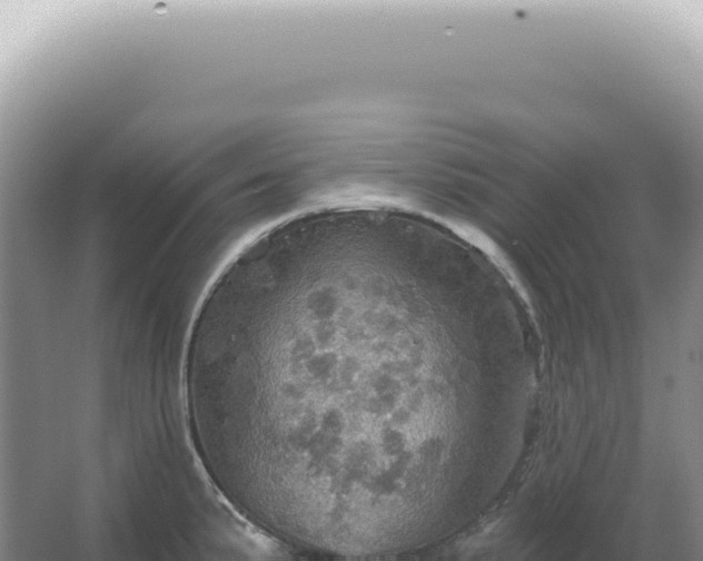 X0000067471191200604142342