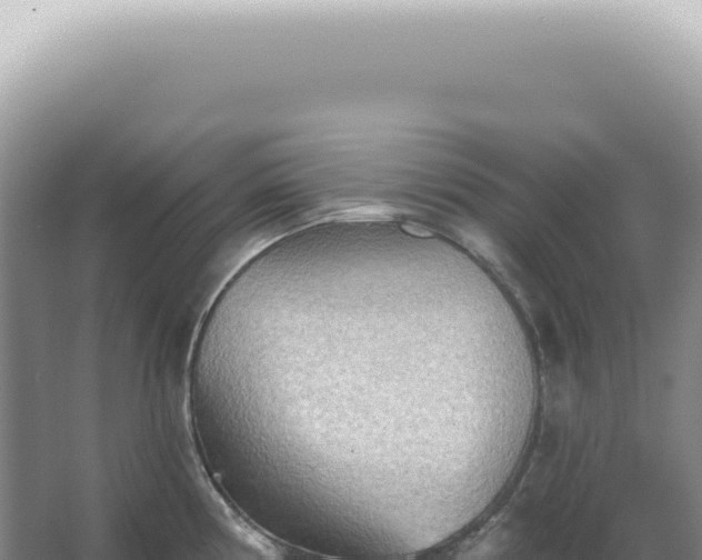 X0000067471194200604142342