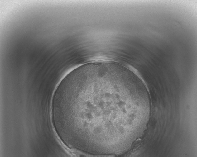 X0000067471195200604142342