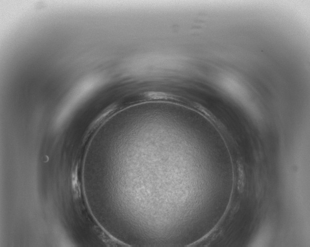 X0000067471198200604142342