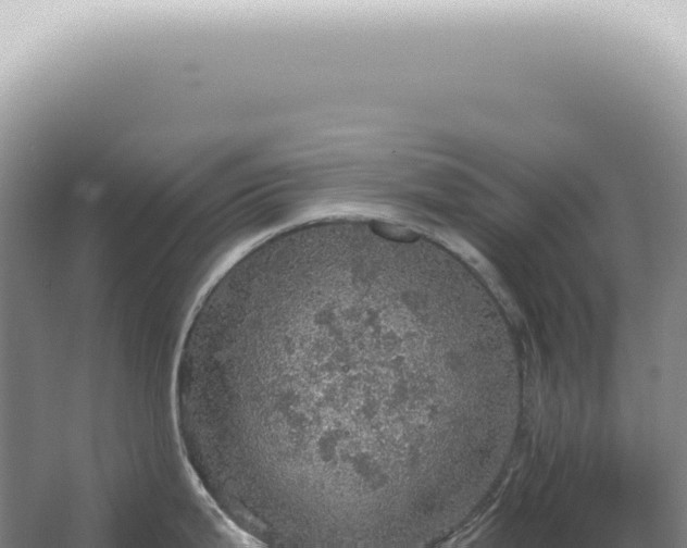 X0000067471199200604142342