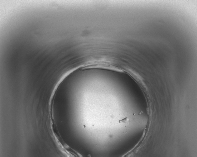 X0000067471200200604142342