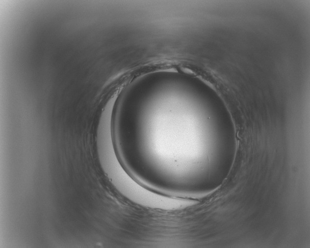 X0000067471206200604142341