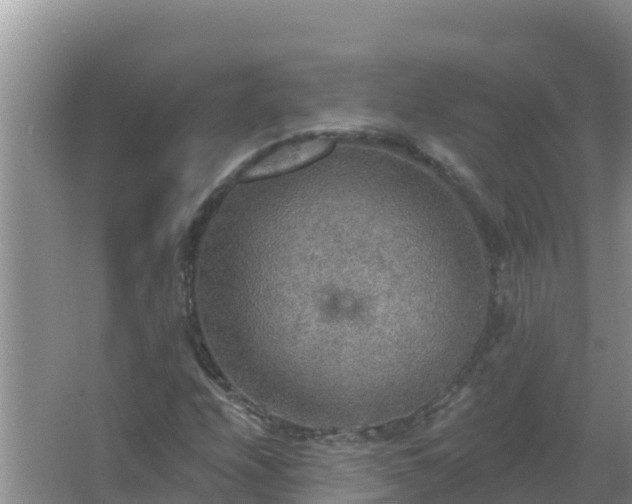 X0000067471208200604142341