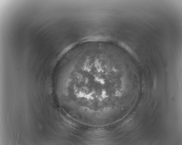 X0000067471213200604142342