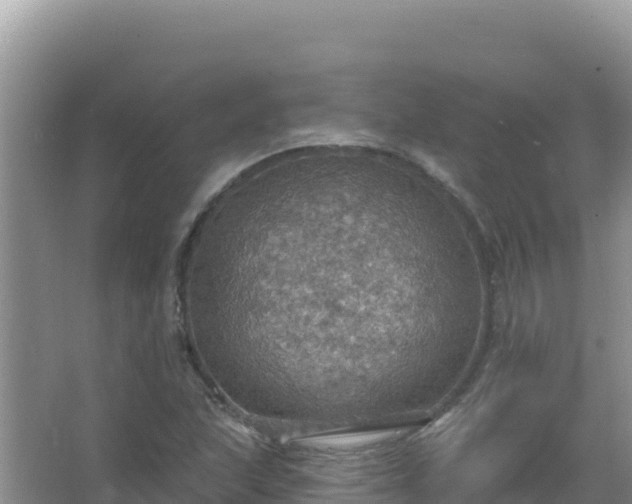 X0000067471215200604142342