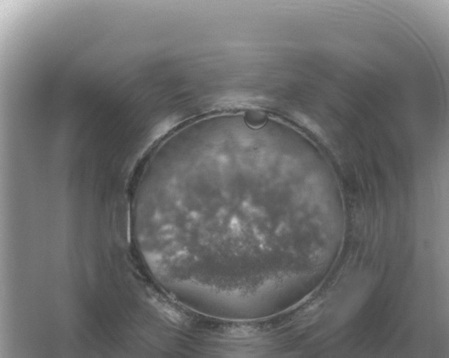 X0000067471219200604142342