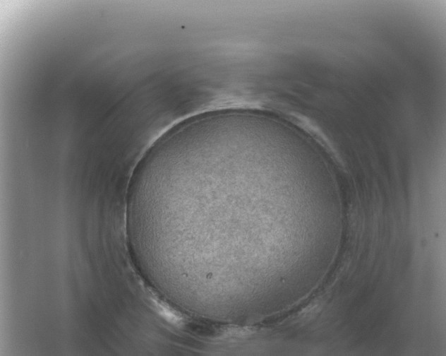 X0000067471220200604142342