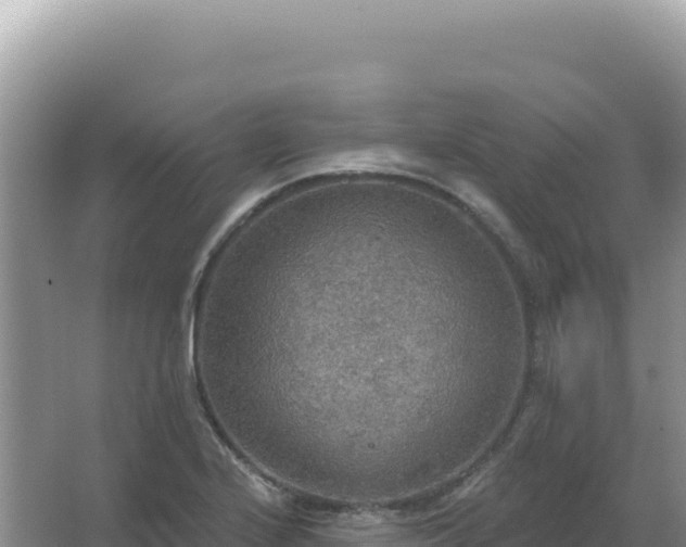 X0000067471224200604142342