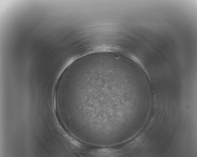 X0000067471227200604142342